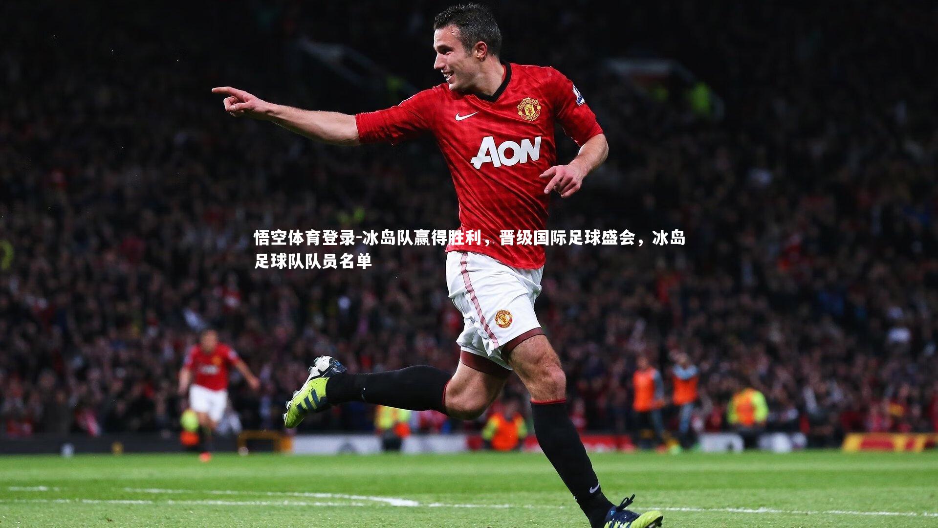 冰岛队赢得胜利，晋级国际足球盛会，冰岛足球队队员名单