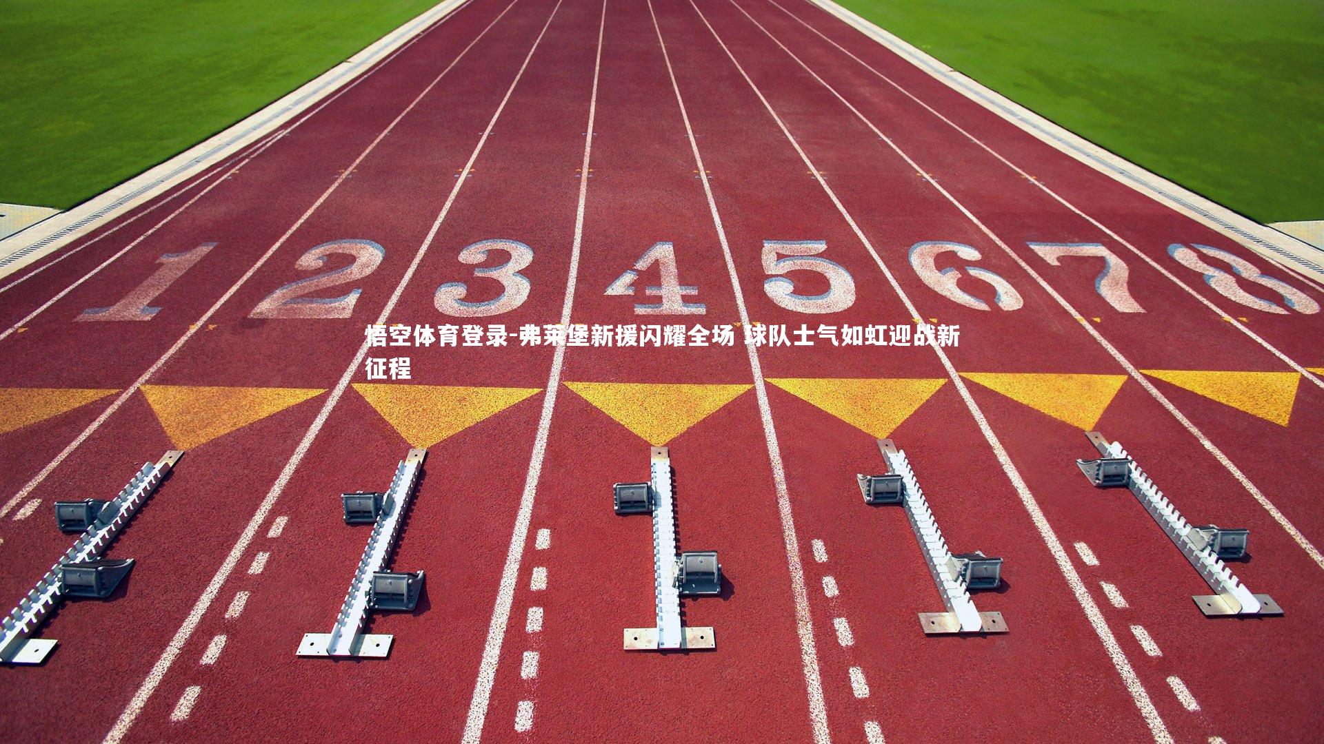 弗莱堡新援闪耀全场 球队士气如虹迎战新征程