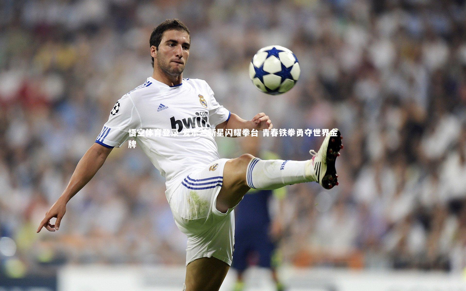 悟空体育登录-爱尔兰新星闪耀拳台 青春铁拳勇夺世界金牌