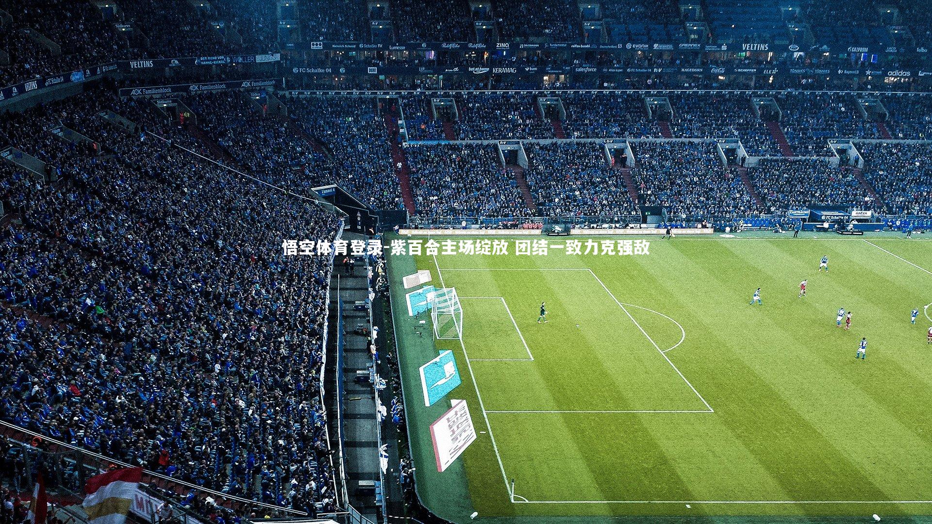 紫百合主场绽放 团结一致力克强敌